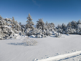 Obraz premium Landscape of Vitosha Mountain, Bulgaria