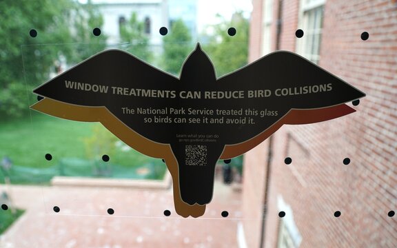 Philadelphia, Pennsylvania, U.S.A - Jul 10, 2026 - Window with bird-safe decal and dots explaining collision-prevention treatment by National Park Service.