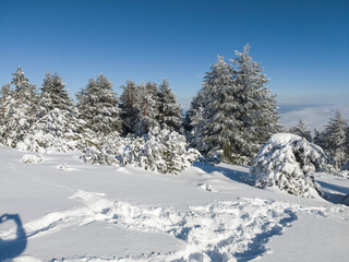 Fototapeta premium Landscape of Vitosha Mountain, Bulgaria
