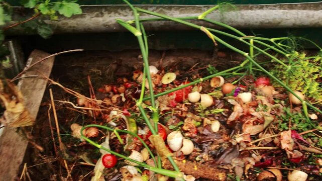 Close-up of a rustic compost pit filled with organic kitchen scraps, plant stems, and vegetable peels, highlighting sustainable gardening and natural recycling. Compost pit with organic waste