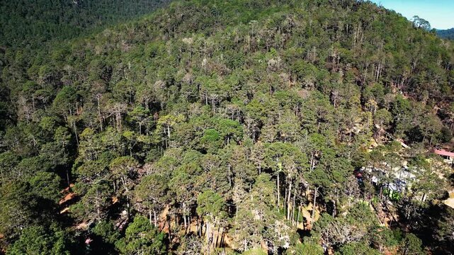 Parque Ecotur&iacute;stico de Rancho Nuevo en San Crist&oacute;bal de las Casas