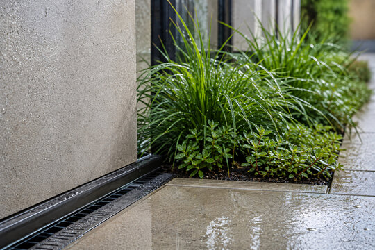 Modern Facade Drainage Channel With Green Planting