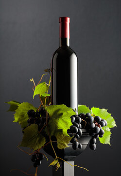 Red wine with blue grapes and vine branches.