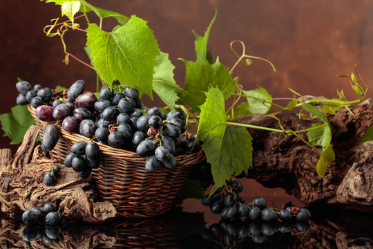 Blue grapes and vine branches on a black reflective background.
