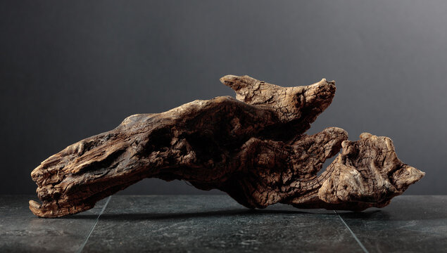 Old dry wooden snag on a black stone table.