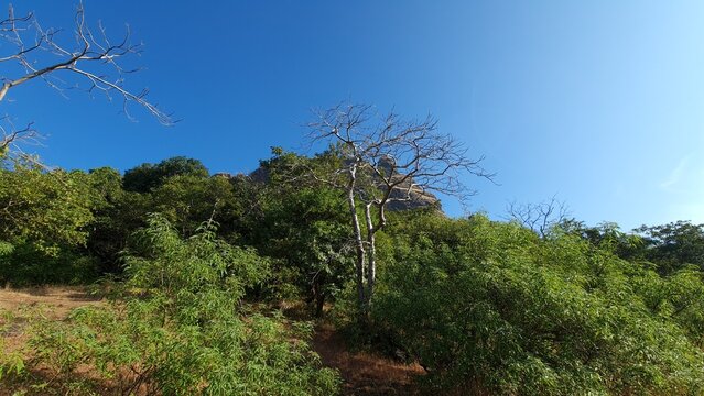 Manikgad Fort landscape surrounded by green forest and rocky hills on a trekking trail, Maharashtra