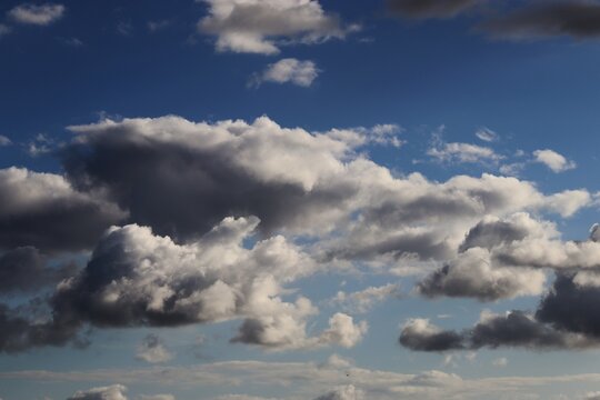 Bright cumulus and stratocumulus clouds in a deep blue sky