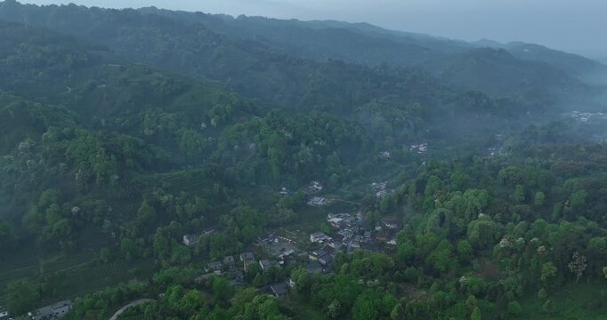 Aerial footage of beautiful tea crop terrace landscape in China