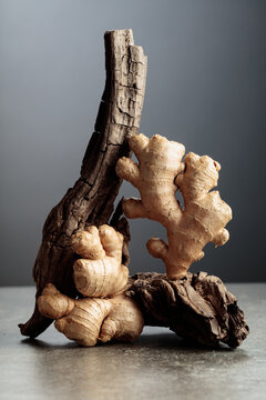 Fresh ginger roots and old wooden snags on a stone table.