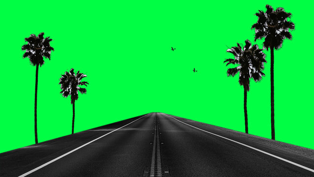 A road lined with palm trees against a bright green background.