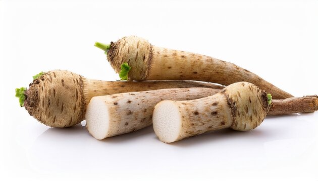 Fresh Burdock Root Or Gobo On White Background