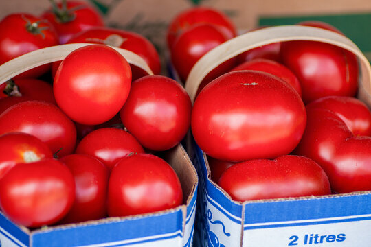 Fresh Ripe Tomatoes in Basket from Market