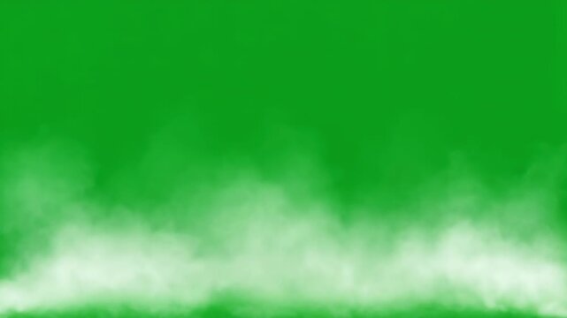 Ultra realistic white smoke and thick fog drifting across the bottom on a bright green chroma key background for compositing
