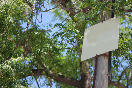Mockup Blank white paper sign pinned to a tree