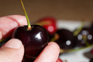 Close-up of juicy ripe cherries with green stems ready to eat, with copy space for text. Detailed food shot of sweet red berries. © Edita