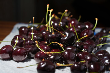 Close-up of juicy ripe cherries with green stems ready to eat, with copy space for text. Detailed food shot of sweet red berries. © Edita