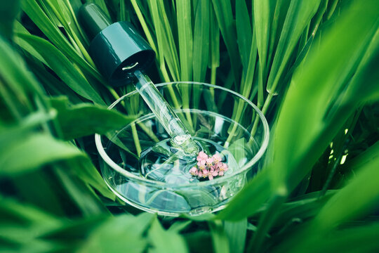 Dropper dispensing natural oil into a glass dish surrounded by green plants and flowers
