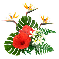 Tropical floral composition with red hibiscus, strelitzia and plumeria flowers on white background © New Africa