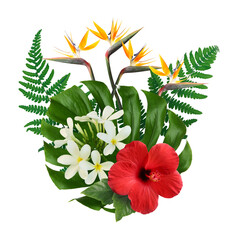 Hibiscus, strelitzia and plumeria flowers with green tropical leaves on white background © New Africa