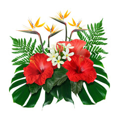 Tropical floral composition with red hibiscus, strelitzia and plumeria flowers on white background © New Africa