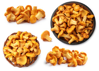 Fresh orange chanterelles isolated on white, set. Edible mushrooms © New Africa