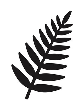 Minimalist fern leaf frond silhouette vector graphic element