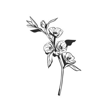 Hand Drawn Floral and Botanical Line Art Vector Set, Elegant Flowers and Leaves, Minimalist Outline Illustrations, Decorative Elements for Wedding, Branding, Invitations and Graphic Design