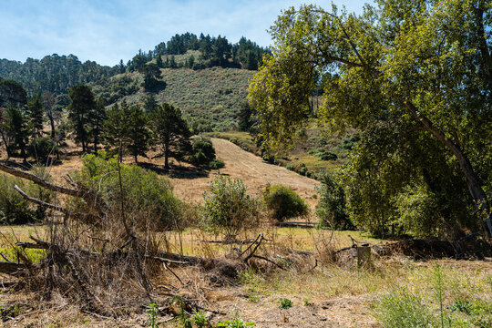 view of California countryside