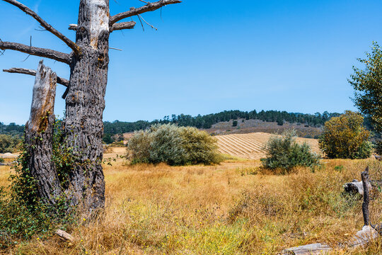 view of California countryside