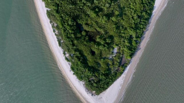 Florian&oacute;polis, Daniela Beach. Aerial View of Tropical Coastline. Establishing Shot. Santa Catarina, Brazil.