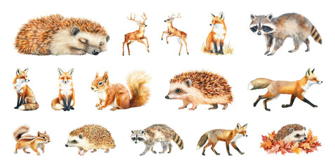 Naklejka premium PNG Woodland animals watercolor illustrations, element set on transparent background