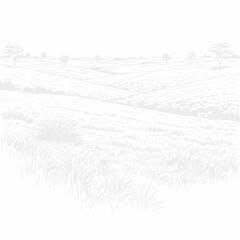Obraz premium Minimalist Line Art Sketch of a Vast Open Grassland Meadow with Sparse Trees in an Old World Landscape Style