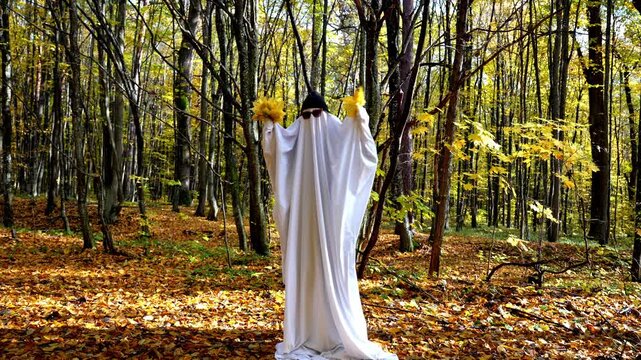 Playful ghost costume made from white bedsheet stands in autumn forest, wearing glasses and cap. The humorous character creates festive seasonal atmosphere inspired by Halloween traditions and autumn