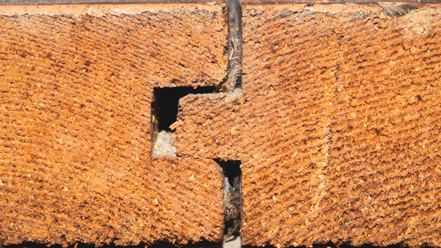 Macro cut edge of wooden board with saw marks and rectangular hole