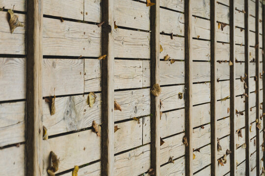 Weathered wooden fence with horizontal planks and dry autumn leaves