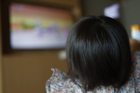 テレビを見つめる幼児の後ろ姿。1歳児の子ども。屋内。