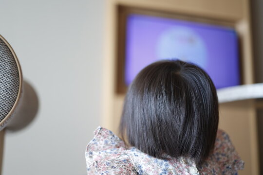 テレビを見つめる幼児の後ろ姿。1歳児の子ども。屋内。