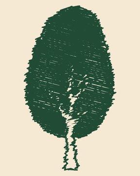 Hand Drawn Oval Leafy Deciduous Tree in Green Sketch Style on Beige Background