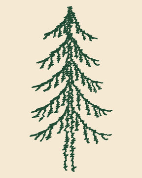 Hand Drawn Conifer Tree with Layered Branches in Green Sketch Style