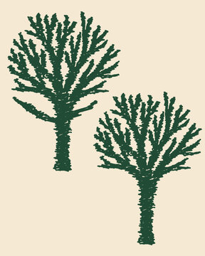 Hand Drawn Branching Shrub Tree Set with Two Organic Forest Tree Variations in Dark Green Sketch Style