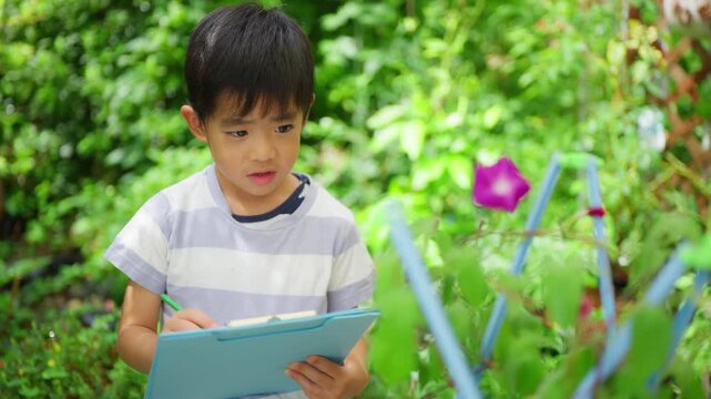 夏休みの宿題に朝顔の絵日記を書く小学一年生の男の子
