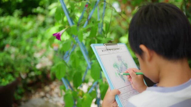 夏休みの宿題に朝顔の絵日記を書く小学一年生の男の子
