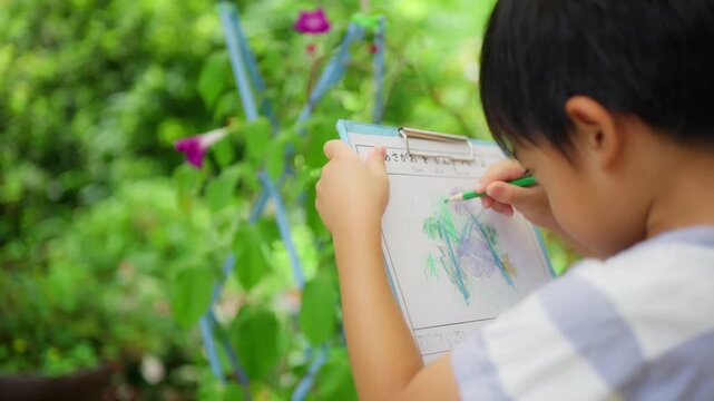 夏休みの宿題に朝顔の絵日記を書く小学一年生の男の子

