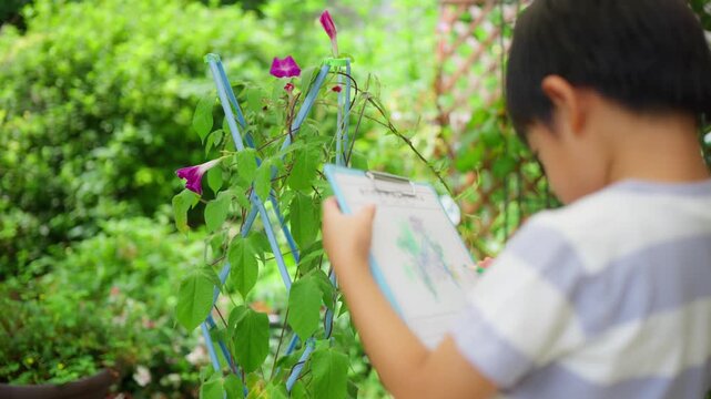 夏休みの宿題に朝顔の絵日記を書く小学一年生の男の子
