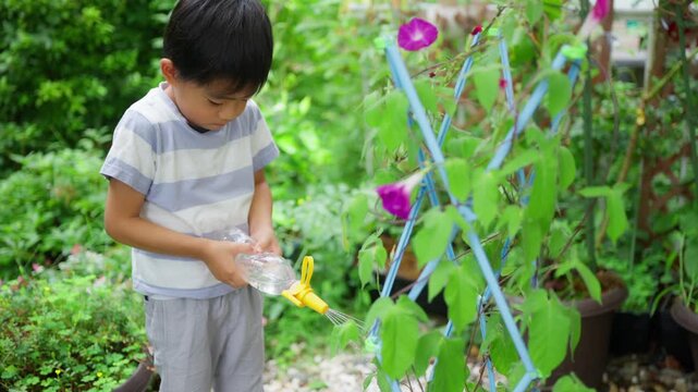夏休みの宿題に朝顔の水遣りをする小学一年生の男の子