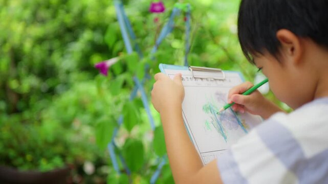 夏休みの宿題に朝顔の絵日記を書く小学一年生の男の子
