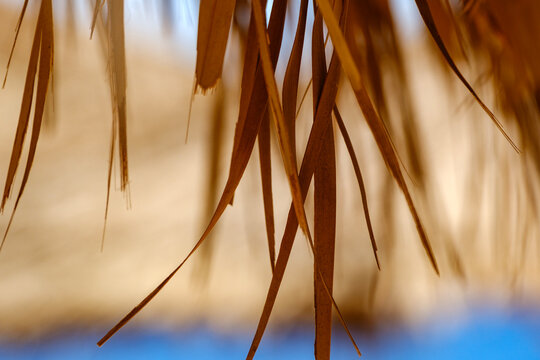 Close up of dry straw thatch parasol against blue sky and sandy background