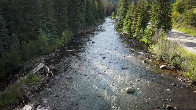 River scouting in the forest