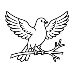 Fototapeta premium Dove perched on a branch, line art