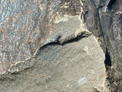 bolder surface